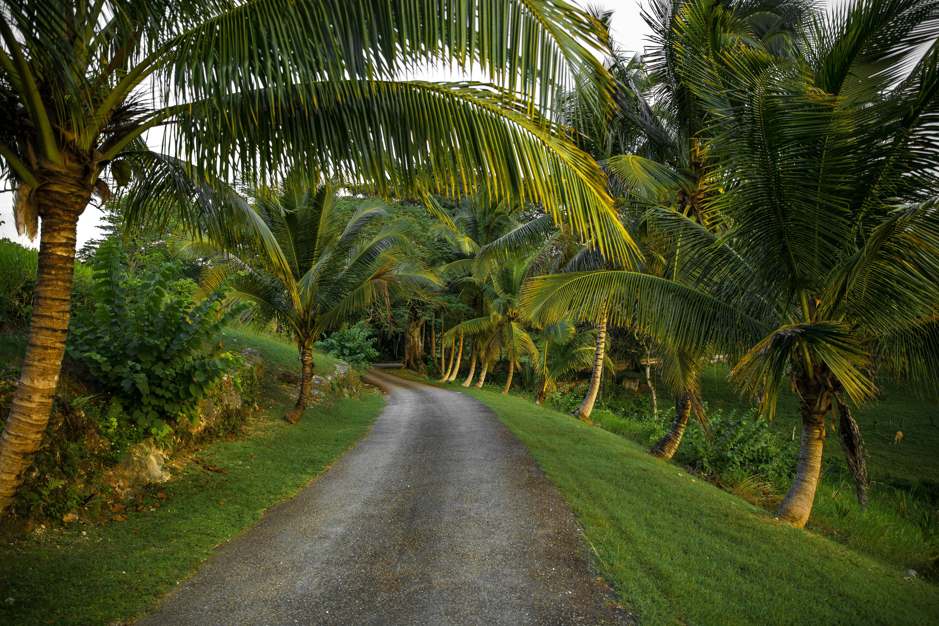 Jamaica hero image 0